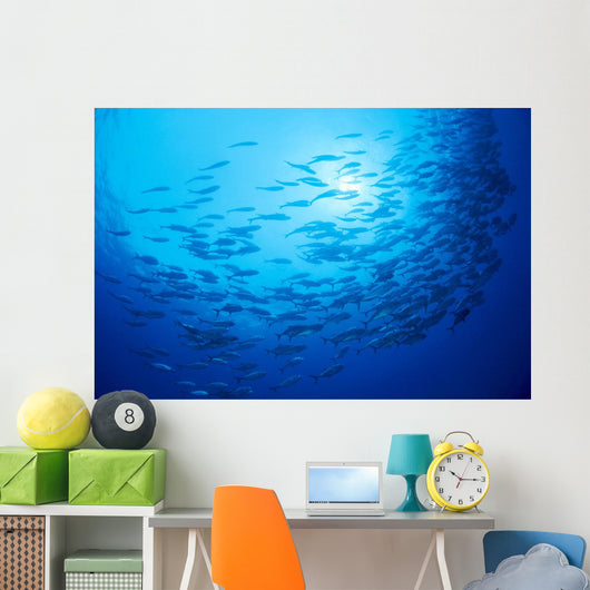 Mexico, Schooling Big Eye Jacks With Sunburst B1927 Wall Mural