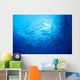 Mexico, Schooling Big Eye Jacks With Sunburst B1927 Wall Mural