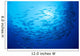 Mexico, Schooling Big Eye Jacks With Sunburst B1927 Wall Mural
