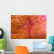 Indonesia, Shrimp On An Anemone B1940 Wall Mural