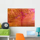 Indonesia, Shrimp On An Anemone B1940 Wall Mural