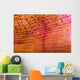 Indonesia, Shrimp On An Anemone B1940 Wall Mural