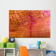 Indonesia, Shrimp On An Anemone B1940 Wall Mural