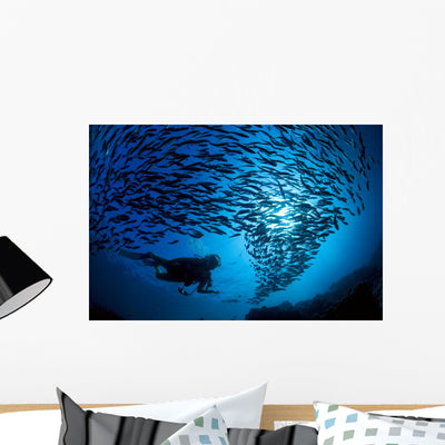 Galapagos Islands Diver and Wall Mural shown on a wall