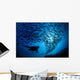 Galapagos Islands, Diver And School Black Striped Salema Endemic B1306 Wall Mural