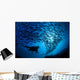 Galapagos Islands, Diver And School Black Striped Salema Endemic B1306 Wall Mural