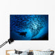 Galapagos Islands, Diver And School Black Striped Salema Endemic B1306 Wall Mural