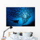 Galapagos Islands, Diver And School Black Striped Salema Endemic B1306 Wall Mural