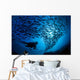 Galapagos Islands, Diver And School Black Striped Salema Endemic B1306 Wall Mural