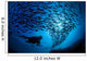 Galapagos Islands, Diver And School Black Striped Salema Endemic B1306 Wall Mural