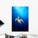 Hawaii, Green Sea Turtle Swims Toward Surface B1918 Wall Mural