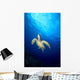 Hawaii, Green Sea Turtle Swims Toward Surface B1918 Wall Mural