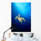 Hawaii, Green Sea Turtle Swims Toward Surface B1918 Wall Mural