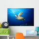 Hawaii, Green Sea Turtle Swims Near Surface B1942 Wall Mural