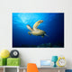 Hawaii, Green Sea Turtle Swims Near Surface B1942 Wall Mural