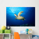 Hawaii, Green Sea Turtle Swims Near Surface B1942 Wall Mural
