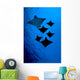 [Dc] Galapagos, Six Spotted Eagle Rays View From Below B1924 Wall Mural
