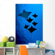 [Dc] Galapagos, Six Spotted Eagle Rays View From Below B1924 Wall Mural