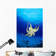Hawaii, Day Octopus Midwater With Sunburst, Underside B1935 Wall Mural