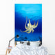 Hawaii, Day Octopus Midwater With Sunburst, Underside B1935 Wall Mural