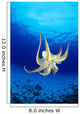 Hawaii, Day Octopus Midwater With Sunburst, Underside B1935 Wall Mural
