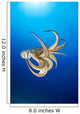 Hawaii, Day Octopus Midwater With Sunburst B1908 Wall Mural