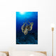 Hawaii, Day Octopus Sunburst, B1930 Wall Mural