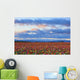 Sunrise Over A Tulip Field At Wooden Shoe Tulip Farm Wall Mural