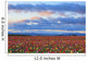 Sunrise Over A Tulip Field At Wooden Shoe Tulip Farm Wall Mural