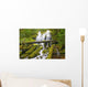 Proxy Falls In Willamette National Forest Wall Mural