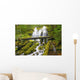 Proxy Falls In Willamette National Forest Wall Mural