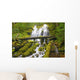 Proxy Falls In Willamette National Forest Wall Mural