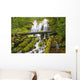 Proxy Falls In Willamette National Forest Wall Mural