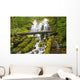 Proxy Falls In Willamette National Forest Wall Mural