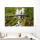 Proxy Falls In Willamette National Forest Wall Mural