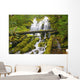 Proxy Falls In Willamette National Forest Wall Mural