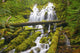 Proxy Falls In Willamette National Forest Wall Mural