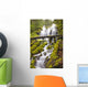 Proxy Falls In Willamette National Forest Wall Mural