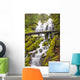 Proxy Falls In Willamette National Forest Wall Mural