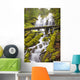 Proxy Falls In Willamette National Forest Wall Mural