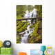Proxy Falls In Willamette National Forest Wall Mural
