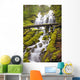 Proxy Falls In Willamette National Forest Wall Mural