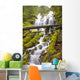 Proxy Falls In Willamette National Forest Wall Mural