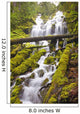 Proxy Falls In Willamette National Forest Wall Mural