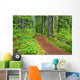 Trail To Proxy Falls In Willamette National Forest Wall Mural