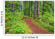 Trail To Proxy Falls In Willamette National Forest Wall Mural