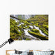 Proxy Falls In Willamette National Forest Wall Mural
