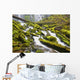 Proxy Falls In Willamette National Forest Wall Mural