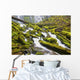 Proxy Falls In Willamette National Forest Wall Mural