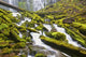 Proxy Falls In Willamette National Forest Wall Mural